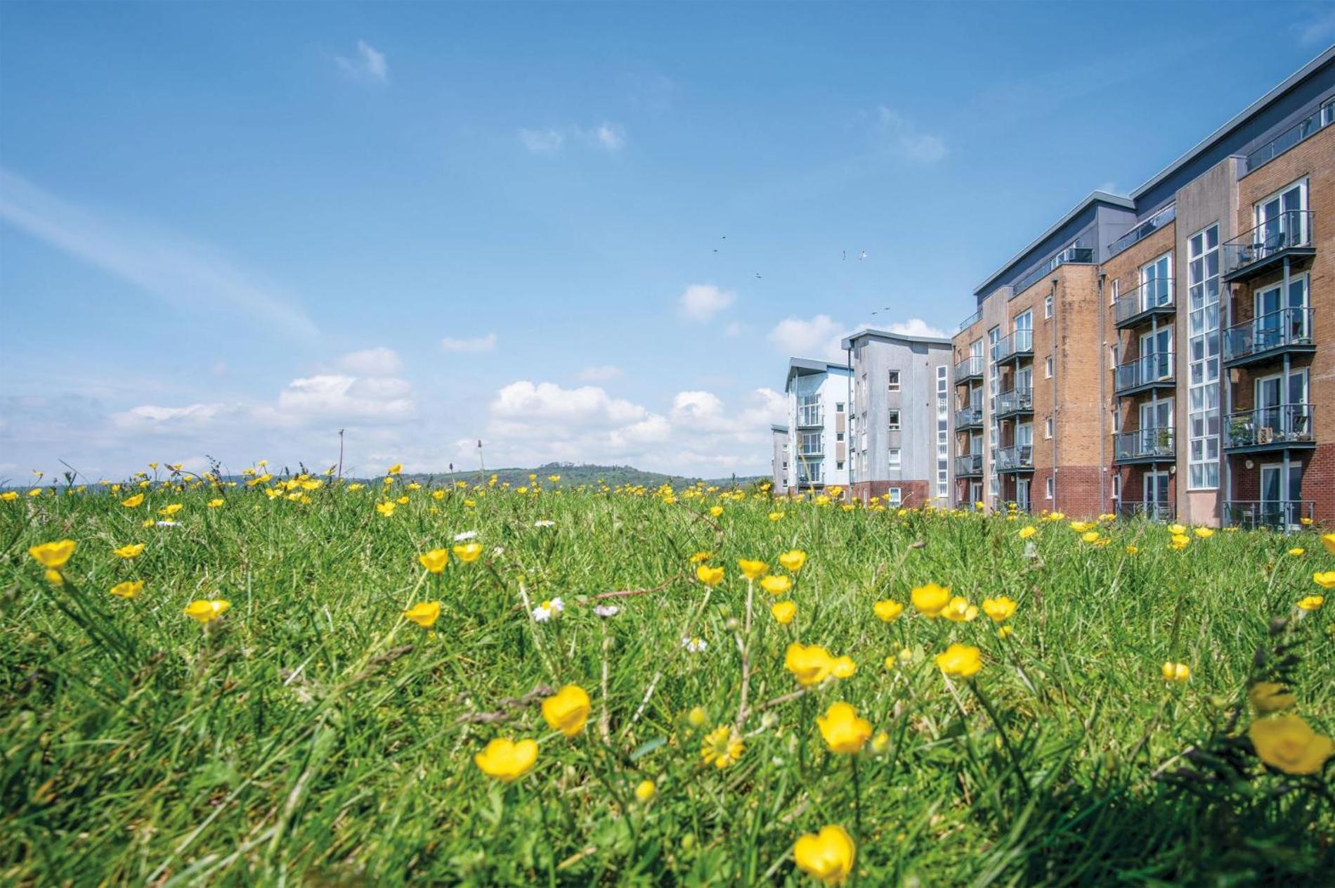 Beach View - 2 Bedroom Apartment - Llanelli Exteriér fotografie